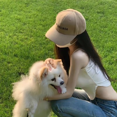 莫西干回到故乡